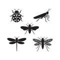 Set of five different insects silhouettes vector icons on transparent background Royalty Free Stock Photo