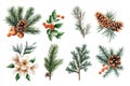 The collection includes objects such as Christmas Fir tree and pine branches, cones, and winter florals Royalty Free Stock Photo