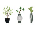 Collection of indoor house plants in pots. Home decorative and deciduous plants in a flat style. Set of elements for