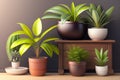 Collection Indoor plants in flower pots. Generative AI.