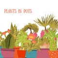 Collection of indoor plants and flowers in pots. Cartoon style. Green cactuses, succulents Royalty Free Stock Photo