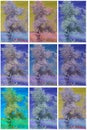 Collection of infrared trees Royalty Free Stock Photo