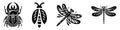 Insect Silhouettes - Beetle, Bug, Dragonfly, and Damselfly Designs Royalty Free Stock Photo