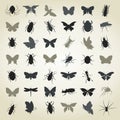 Collection of insects4