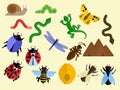 A collection of insects and reptiles