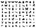 Collection of insects silhouettes