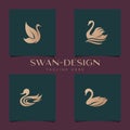 Collection Inspiration Set Swan Modern Concept Design Illustration Template