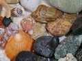 Collection of interesting sea shells and gemstones from three seas.