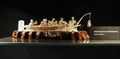 Collection of the international Maritime museum in Hamburg - japanese ship model Royalty Free Stock Photo