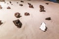 iron and stone meteorites