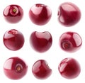 Collection of isolated cherries Royalty Free Stock Photo