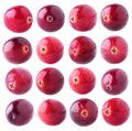 Collection of isolated cranberries