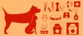 Collection isolated objects for pet Royalty Free Stock Photo