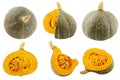 Collection of isolated pumpkins on white background