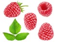 Collection of isolated raspberry fruits, isolated on white background Royalty Free Stock Photo