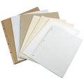 Collection of isolated sheets isolated on white background Royalty Free Stock Photo