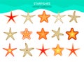 Collection of isolated starfish. Vector illustration. Royalty Free Stock Photo