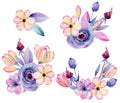 Collection of isolated watercolor pastel apple blossom flowers bouquets Royalty Free Stock Photo