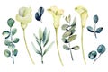 Collection of isolated watercolor white callas flowers and eucalyptus branches