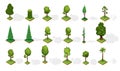 Collection isometric trees with shadow. Various type wood isolated on white background. Green plants elements for