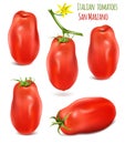 Collection of Italian plum tomatoes San Marzano.