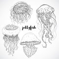 Collection of jellyfish. Vintage set of black and white hand drawn marine fauna. vector illustration