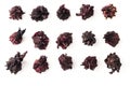 Collection of karkade tea calyces. Separated dried hibiscus flowers. Set of red hibiscus petals isolated on a white background.