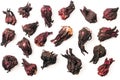 Collection of karkade tea calyces. Separated dried hibiscus flowers. Set of red hibiscus petals isolated on a white background.
