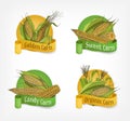 Collection of labels, badges or logotypes with realistic hand drawn cobs of organic corn or corncobs and ribbons