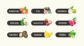 Collection of labels with delicious ripe fresh juicy exotic tropical fruits and their names. Bundle of tags with tasty