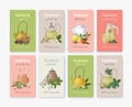 Collection of labels or tags with different types of tea - black, green, white, masala, mate, puer, mint, milk oolong Royalty Free Stock Photo