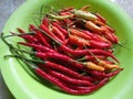 A collection of large red chilies on a green plastic plate. Red chillies on a green palstic plate.Selective focus. Close up photo