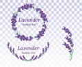 Collection lavender wreath isolated on transparent background. Bunch beautiful violet flowers.3D realistic lavender with