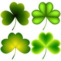 Collection leaf clovers.