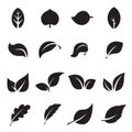 Collection of leaf icons. Black icons isolated on a white background