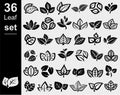 Collection leafs set. Leafs collection icon. Vector Royalty Free Stock Photo