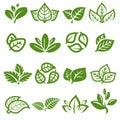 Collection leafs set. Leafs collection icon. Vector Royalty Free Stock Photo