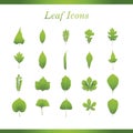 Collection of leaves icons. Vector illustration decorative design