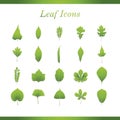 Collection of leaves icons. Vector illustration decorative design Royalty Free Stock Photo