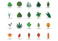 collection of leaves. Vector illustration decorative design Royalty Free Stock Photo