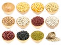 Collection of legumes in the cup isolated