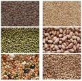 Collection of legumes