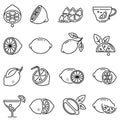 Collection lemon line art icon vector illustration. Set vitamin citrus fruit half, whole and slice Royalty Free Stock Photo