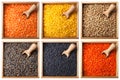 Collection of lentils Royalty Free Stock Photo