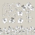 Collection of lily flowers elements. Awesome set for designers. Blossom jungle flower bundle. Black flowers of lilies