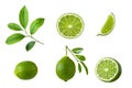 Collection of lime fruit with green leaves isolated on white background