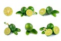 Collection lime