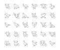 Set of Simple Icons of Meat and Poultry.
