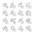 Set of Simple Icons of Seeds