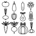 Collection of linear icons of vegetables. Organic food template.